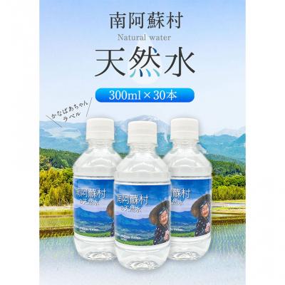 ふるさと納税 _南阿蘇村 天然水 300mlボトル×30本(かなばあちゃんラベル) [30日以内に出荷予定(土日祝除く)]