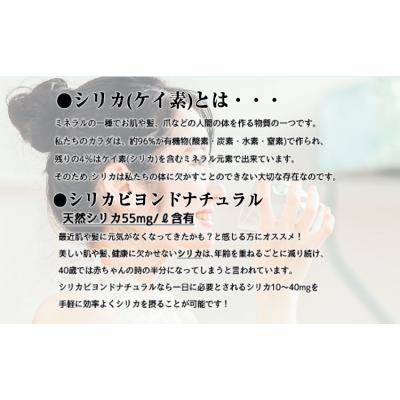 ふるさと納税 _南阿蘇村 シリカビヨンドナチュラルラベルレス300ml×20本入 [90日以内に出荷予定(土日祝除く)]