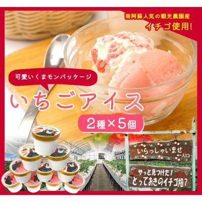ふるさと納税 _南阿蘇村 いちご アイス 2種×5個セット [30日以内に出荷予定(土日祝除く)]
