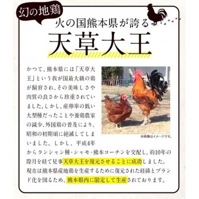 ふるさと納税 南阿蘇村 天草大王大手羽セット 4本入り 約650g以上 [45日以内に出荷予定(土日祝除く)]
