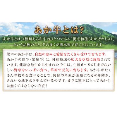 ふるさと納税 _南阿蘇村 熊本県産あか牛ローストビーフ500g×1個[30日以内に出荷予定(土日祝除く)]
