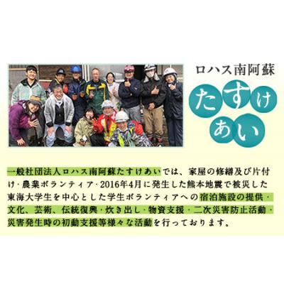 ふるさと納税 _南阿蘇村 南阿蘇5年保存水 300ml×30本 ロハス [60日以内に出荷予定(土日祝除く)]