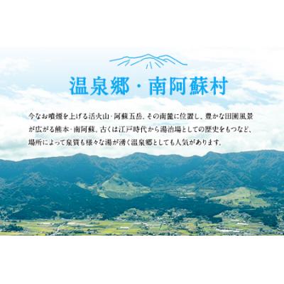 ふるさと納税 南阿蘇村 熊本県南阿蘇村10施設で使える宿泊ギフト券10000円分[30日以内に出荷予定(土日祝除く)]