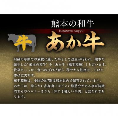 ふるさと納税 南阿蘇村 あか牛 赤身ステーキ用 1kg (250g×4) 《60日以内に出荷予定(土日祝除く)》 |  | 02