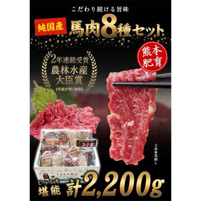 ふるさと納税 _南阿蘇村 純国産馬肉8種セット 計2200g [60日以内に出荷予定(土日祝除く)]