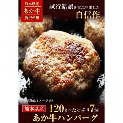 ふるさと納税 _南阿蘇村 贅沢ハンバーグたっぷり120g×7個入り[30日以内に出荷予定(土日祝除く)]