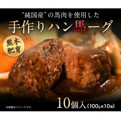 ふるさと納税 _南阿蘇村 手作りハン馬ーグ 100g×10個 馬肉100%配合![30日以内に出荷予定(土日祝除く)]