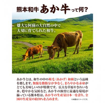 ふるさと納税 _南阿蘇村 熊本和牛あか牛 サーロインステーキ 400g 200g×2[60日以内に出荷予定(土日祝除く)]