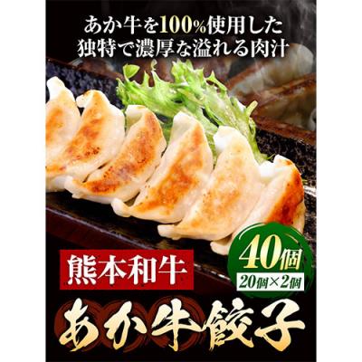 ふるさと納税 _南阿蘇村 あか牛 餃子 40個 ( 20個 × 2 ) [60日以内に出荷予定(土日祝除く)]