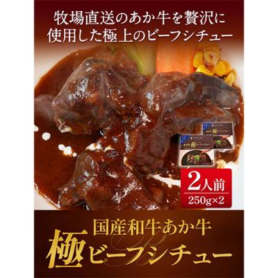 ふるさと納税 _南阿蘇村 あか牛 極ビーフシチュー 2人前 250g × 2 [60日以内に出荷予定(土日祝除く)]