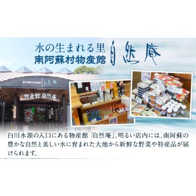 ふるさと納税 _南阿蘇村 [6ヶ月定期便]「南阿蘇・白川水源」定期便6ヶ月 2L×6本入2ケース[申込み翌月から発送]