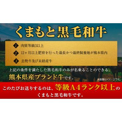 ふるさと納税 _南阿蘇村 くまもと黒毛和牛 サーロイン ローススライス 600g [30日以内に出荷予定(土日祝除く)]