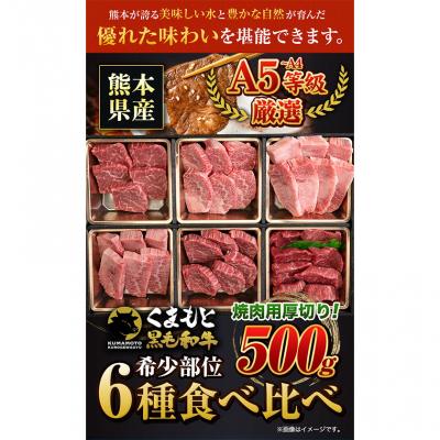 ふるさと納税 _南阿蘇村 くまもと黒毛和牛 希少部位 6種盛り合わせ 500g[30日以内に出荷予定(土日祝除く)]
