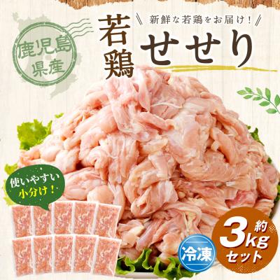 ふるさと納税 薩摩川内市 鹿児島県産若鶏小肉(せせり)約3kgセット 若鶏 鶏肉 せせり BS-399
