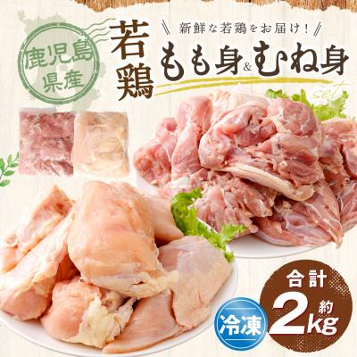 ふるさと納税 薩摩川内市 鹿児島県産若鶏焼肉 約4.2kgセット 鶏肉 鶏 焼肉 BS-226
