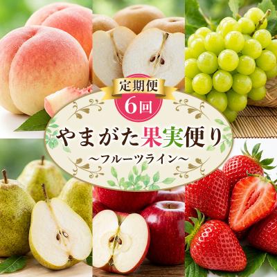 ふるさと納税 山形市 [定期便6回]やまがた果実便り=フルーツライン= FY26-182