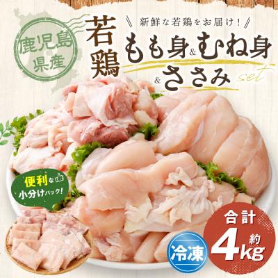 ふるさと納税 薩摩川内市 鹿児島県産若鶏 約4kgビッグセット 鶏肉 若鶏 チキン 小分け BS-149