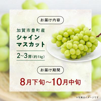 ふるさと納税 加賀市 シャインマスカット 約1kg 石川県加賀市産 ご家庭用 ぶどう フルーツ F6P-2629 |  | 03