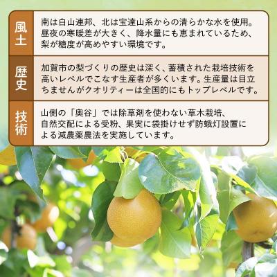 ふるさと納税 加賀市 梨 福袋 5kg 旬の品種をお届け 果物 フルーツ なつしずく 幸水 F6P-2945 |  | 03
