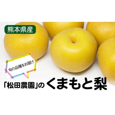 ふるさと納税 玉東町 [先行予約]秋 旬 梨 松田農園のくまもと 梨 約5kg 8-18玉前後[7月下旬-9月末頃出荷]