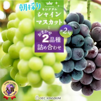 ふるさと納税 瀬戸内市 [先行受付] シャインマスカット と おまかせ2品種詰合せ 合計2kg 岡山県産[21F7003]