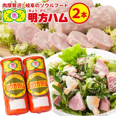 ふるさと納税 七宗町 明方ハム 2本 国産 豚肉 プレスハム JAめぐみの