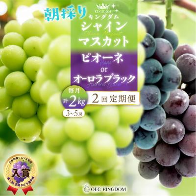 ふるさと納税 瀬戸内市 2回 定期便 ピオーネ オーロラブラック シャインマスカット(毎月計2kg発送) [21F7006]