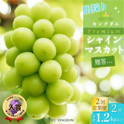 ふるさと納税 瀬戸内市 2回 定期便 プレミアム シャイン マスカット 2房 贈答クラス 岡山県産 [21F7007]