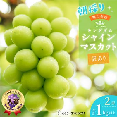 ふるさと納税 瀬戸内市 [先行受付] [ご家庭用] シャイン マスカット 2房(合計1kg以上)岡山県産[21F7010]