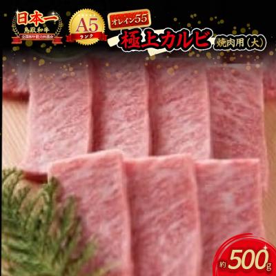 ふるさと納税 倉吉市 鳥取和牛 最上級A5ランク オレイン55 極上カルビ 焼肉用 大 (約500g)