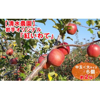 ふるさと納税 陸前高田市 [先行受付] りんご 紅いわて 2kg 岩手県オリジナル品種 米崎りんご フルーツ 果物 林檎