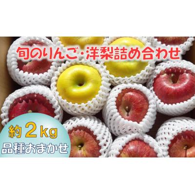 ふるさと納税 陸前高田市 [先行受付] 旬のりんご(洋梨含む) 約2kg 品種おまかせ 1種〜2種 果物 フルーツ セット 旬