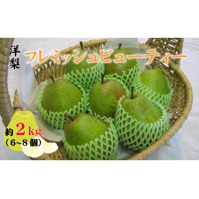 ふるさと納税 陸前高田市 [先行受付] フレミッシュビューティー 2kg 西洋梨 梨 旬 フルーツ 果物 濃厚 芳醇