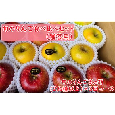 ふるさと納税 陸前高田市 先行受付 [3回定期便] 旬のりんご食べ比べ 3kg×3回お届け [贈答用] リンゴ ギフト 人気