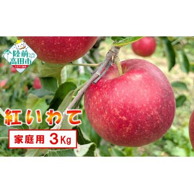 ふるさと納税 陸前高田市 先行受付 新鮮 りんご 紅いわて 3kg 岩手県オリジナル品種 リンゴ 訳あり