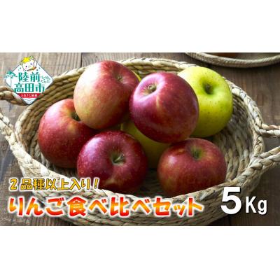 ふるさと納税 陸前高田市 先行受付 もぎたて りんご 5kg [2品種以上食べ比べ] 訳あり 家庭用 旬 米崎りんご 業務用