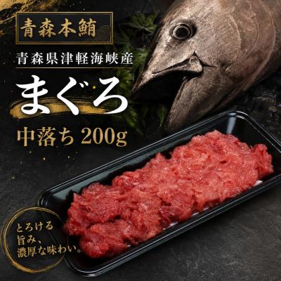 ふるさと納税 むつ市 <引き締まった旨味>津軽海峡産まぐろ(中落ち200g)