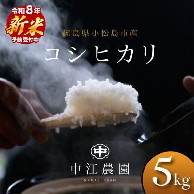 ふるさと納税 小松島市 [2026年8月下旬順次発送]令和8年産 新米コシヒカリ 5kg 白米 数量限定 小松島市