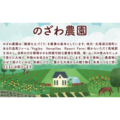 ふるさと納税 日高町 [先行予約 ]フルーツ ほおずき 太陽の子 約500g のざわ農園[10月上旬-11月上旬頃出荷]