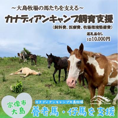 ふるさと納税 宗像市 [返礼品なし]引退馬・仔馬の飼育支援 10,000円[カナディアンキャンプ乗馬クラブ]