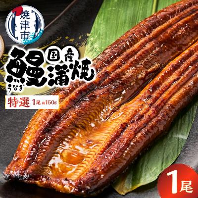 ふるさと納税 焼津市 特選 国産うなぎ蒲焼 約150g(a10-1293)