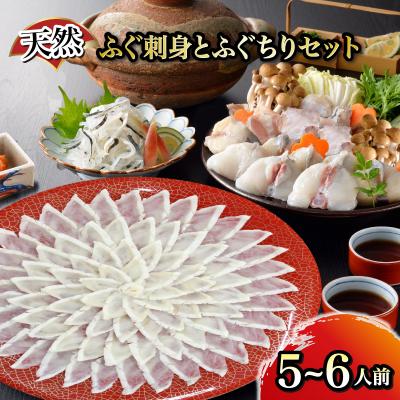 ふるさと納税 下関市 天然ふぐ刺身とふぐちりセット 5〜6人前