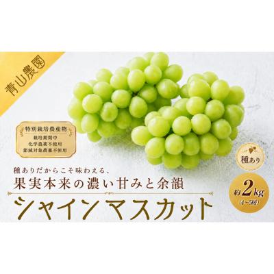 ふるさと納税 大府市 [先行予約]種ありシャインマスカット 約2kg(4〜5房)〔2026年8月上旬より順次発送〕