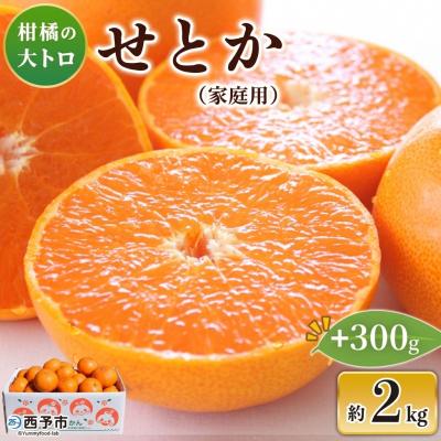 ふるさと納税 西予市 先行受付<せとか(家庭用)2kg+300g>愛媛 えひめ 高評価 わけあり 訳あり