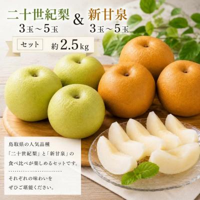 食品 大玉‼️新甘泉 3キロ 6玉 2箱セット 計6キロ
