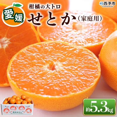 ふるさと納税 西予市 先行受付<せとか(家庭用)5.3kg>愛媛 えひめ 高評価 わけあり 訳あり