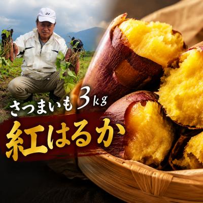 ふるさと納税 豊後高田市 さつまいも紅はるか 3kg | 焼き芋に最適 さつまいも紅はるか