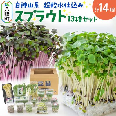 ふるさと納税 八峰町 スプラウト、かいわれ等13種セット[白神山系 超軟水仕込み] 計14個|16_mtn-020101