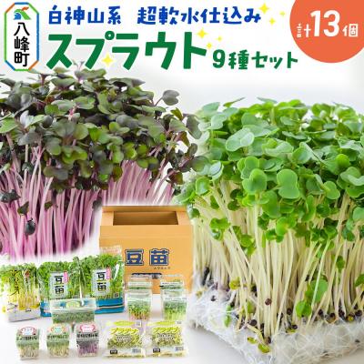 ふるさと納税 八峰町 スプラウト、かいわれ等9種セット[白神山系 超軟水仕込み] 計13個|16_mtn-030101
