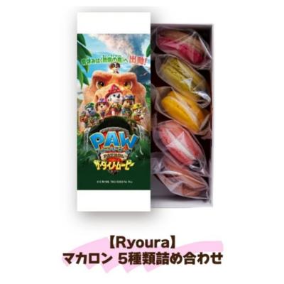 ふるさと納税 世田谷区 期間限定!映画『パウ・パトロール ザ・ダイノ・ムービー』× Ryoura マカロン 5種類詰め合わせ